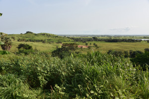 Flaches Land am Kongo River